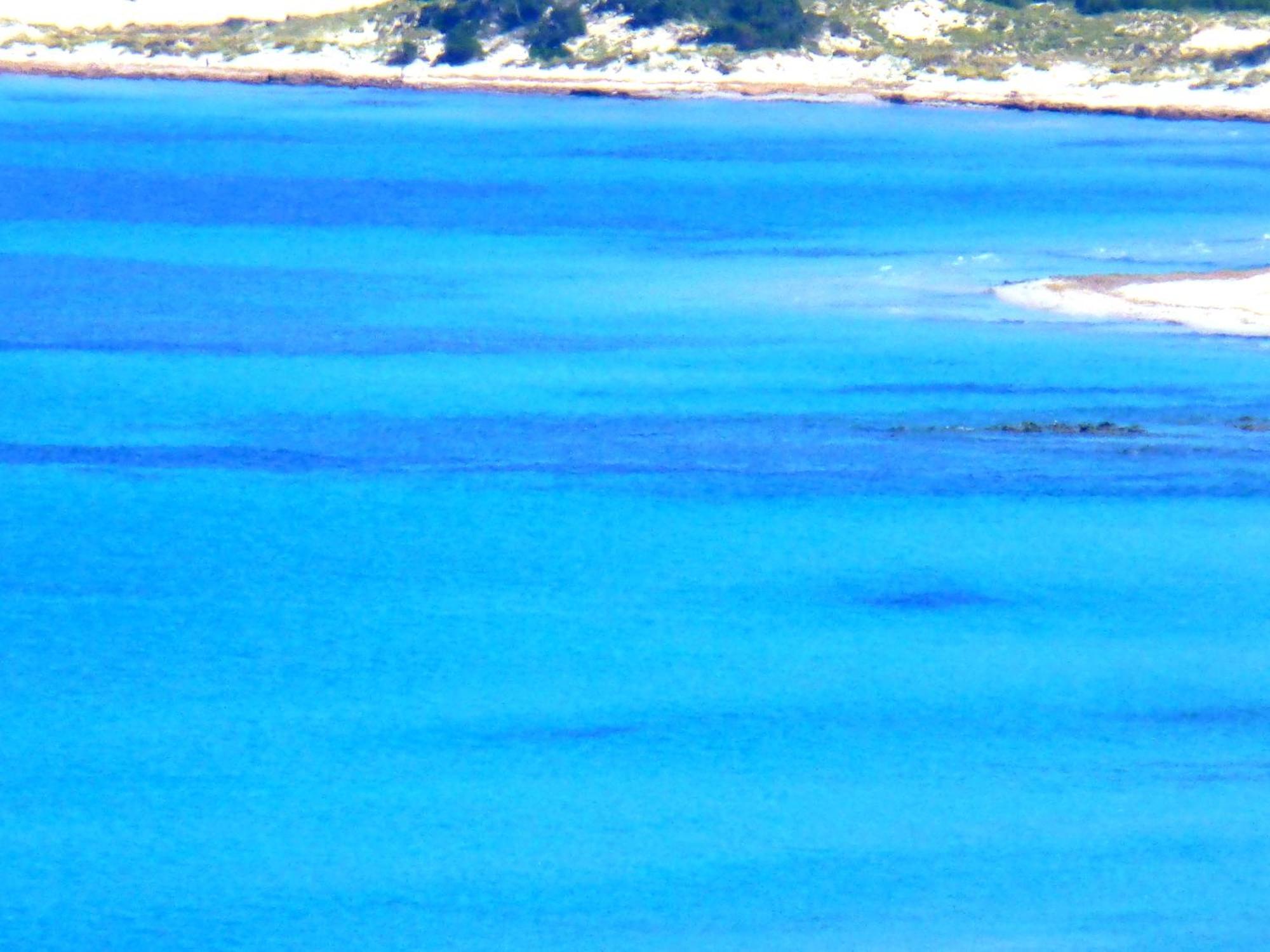 Comino Alto Agriturismo E Appartamenti Siniscola Exterior foto