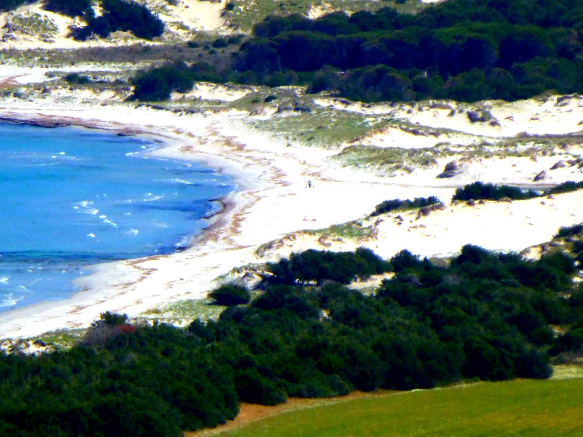 Comino Alto Agriturismo E Appartamenti Siniscola Exterior foto